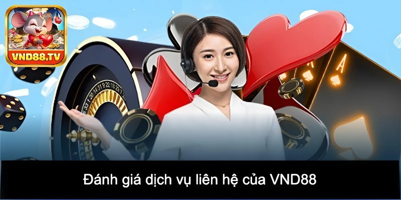 Đánh giá dịch vụ liên hệ của VND88